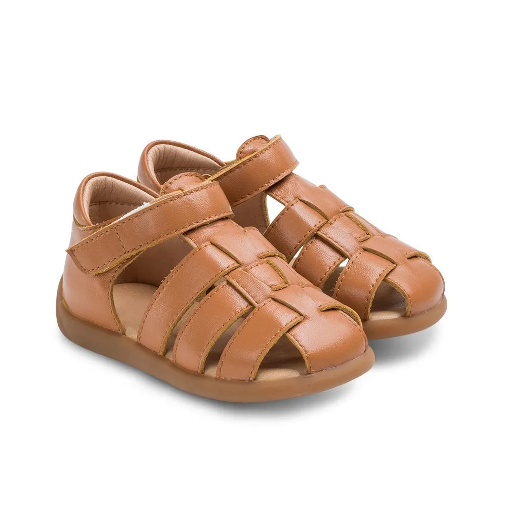 Isar Brown Baby